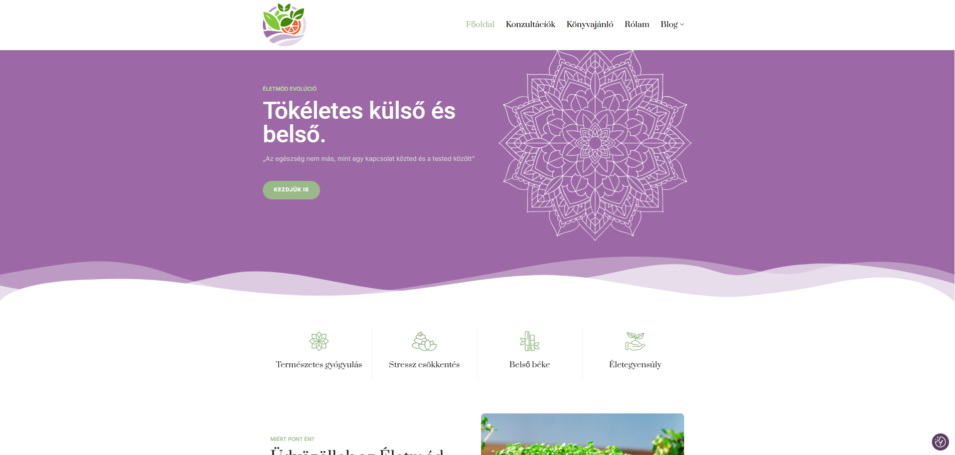 Eletmod Evolucio - Functional Mentor Website