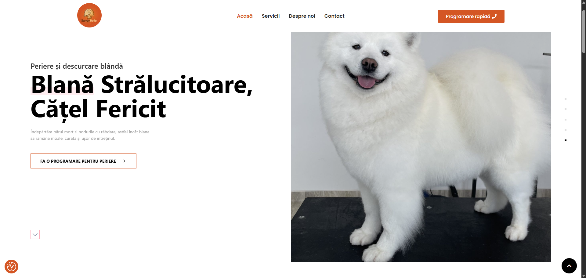 Infrumusetare canina salonsandybelle.ro